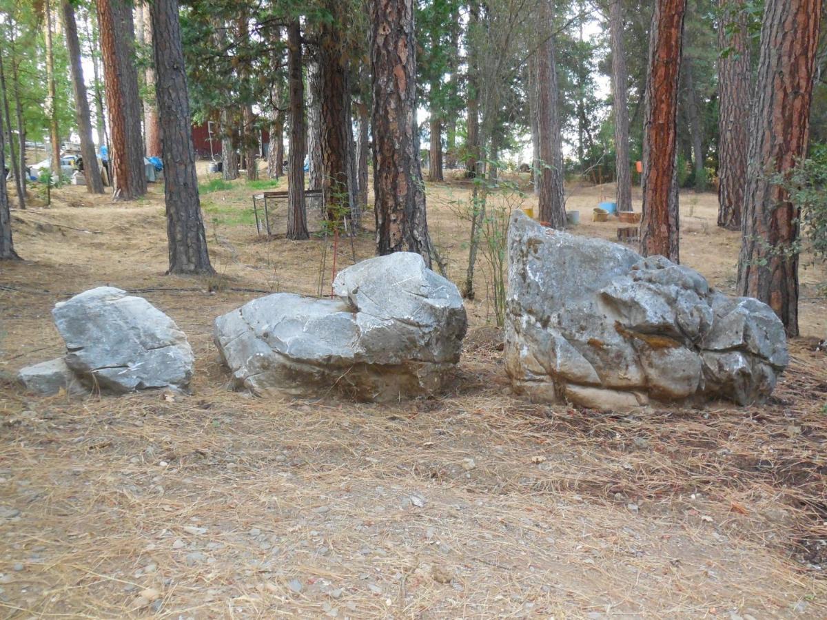 Yosemite Paradise Inn Coulterville Exterior photo